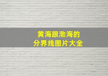 黄海跟渤海的分界线图片大全