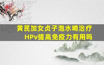 黄芪加女贞子泡水喝治疗HPv提高免疫力有用吗