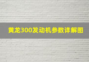 黄龙300发动机参数详解图