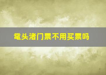 鼋头渚门票不用买票吗