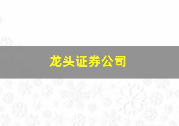 龙头证券公司