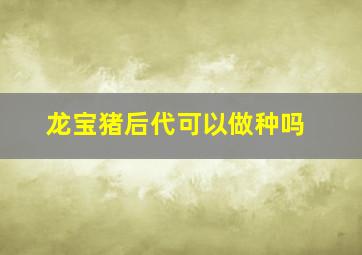 龙宝猪后代可以做种吗