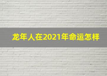 龙年人在2021年命运怎样