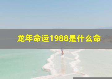 龙年命运1988是什么命