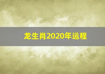 龙生肖2020年运程