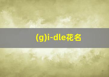 (g)i-dle花名