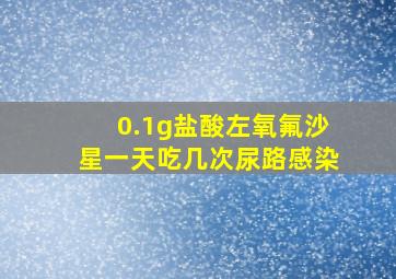 0.1g盐酸左氧氟沙星一天吃几次尿路感染