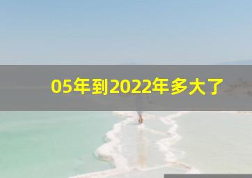 05年到2022年多大了