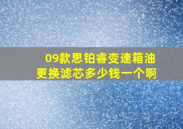 09款思铂睿变速箱油更换滤芯多少钱一个啊