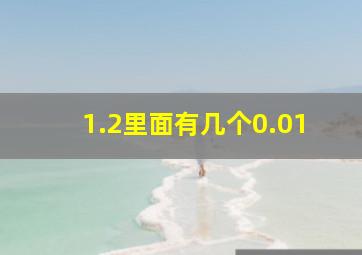 1.2里面有几个0.01