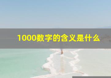 1000数字的含义是什么