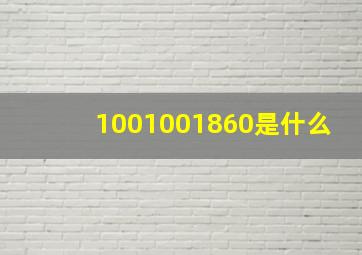 1001001860是什么