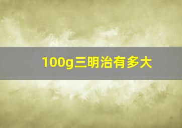 100g三明治有多大