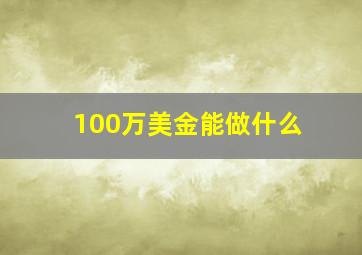 100万美金能做什么