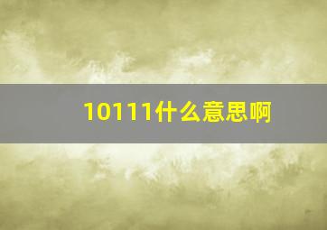 10111什么意思啊