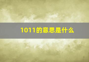 1011的意思是什么