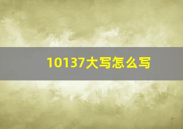 10137大写怎么写