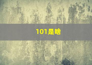 101是啥