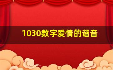 1030数字爱情的谐音