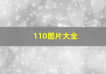 110图片大全