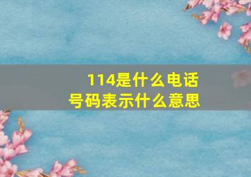 114是什么电话号码表示什么意思