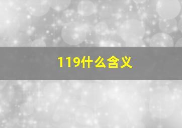 119什么含义