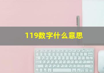 119数字什么意思