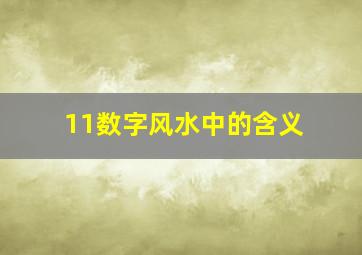 11数字风水中的含义