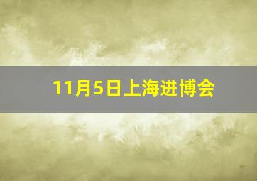 11月5日上海进博会