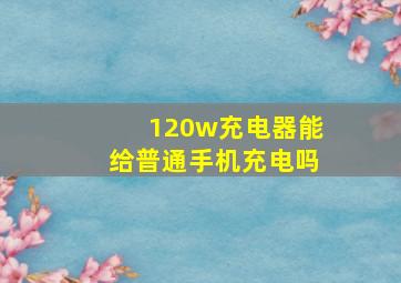 120w充电器能给普通手机充电吗