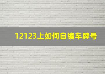 12123上如何自编车牌号