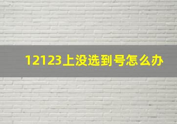 12123上没选到号怎么办