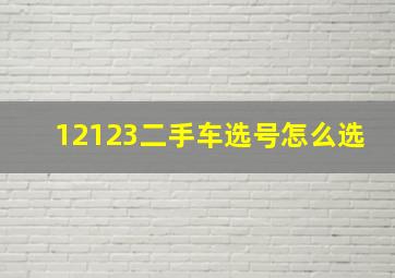 12123二手车选号怎么选