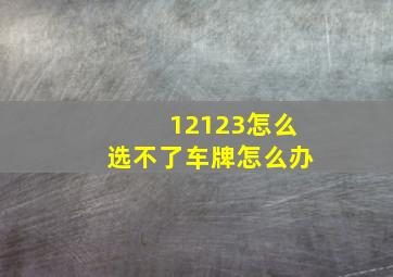 12123怎么选不了车牌怎么办