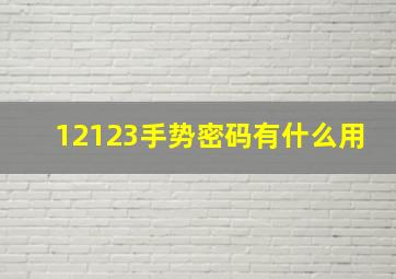 12123手势密码有什么用