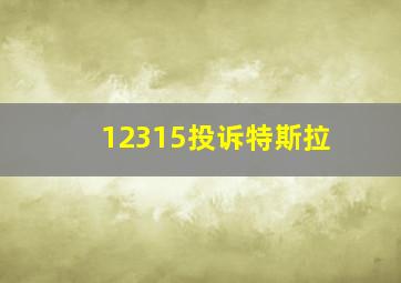 12315投诉特斯拉