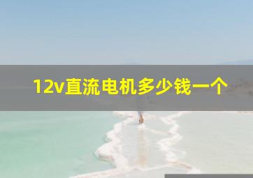 12v直流电机多少钱一个