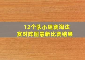 12个队小组赛淘汰赛对阵图最新比赛结果