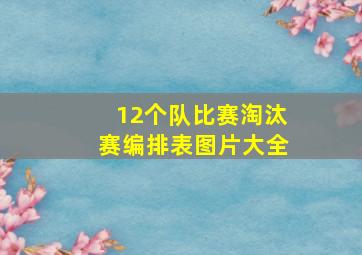 12个队比赛淘汰赛编排表图片大全