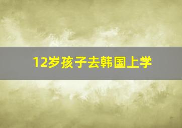 12岁孩子去韩国上学