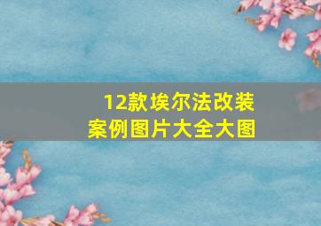 12款埃尔法改装案例图片大全大图