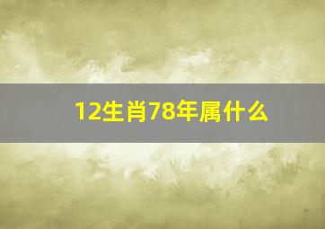 12生肖78年属什么