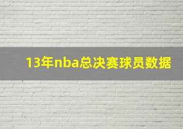 13年nba总决赛球员数据