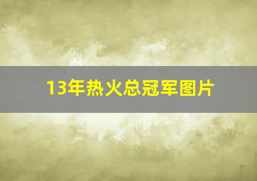 13年热火总冠军图片