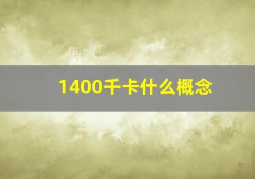 1400千卡什么概念