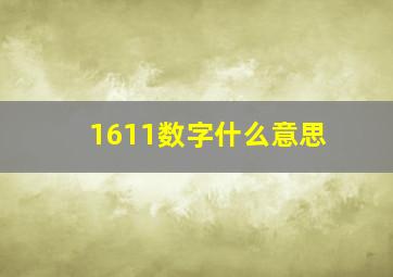 1611数字什么意思