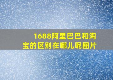 1688阿里巴巴和淘宝的区别在哪儿呢图片