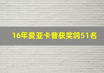 16年爱亚卡普获奖鸽51名