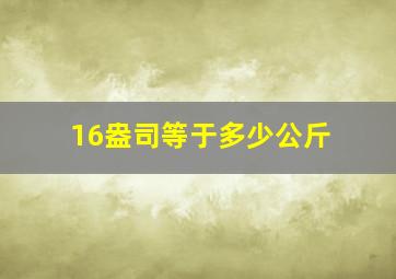 16盎司等于多少公斤