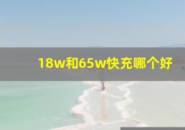 18w和65w快充哪个好